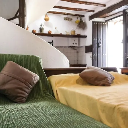 Pet Friendly In